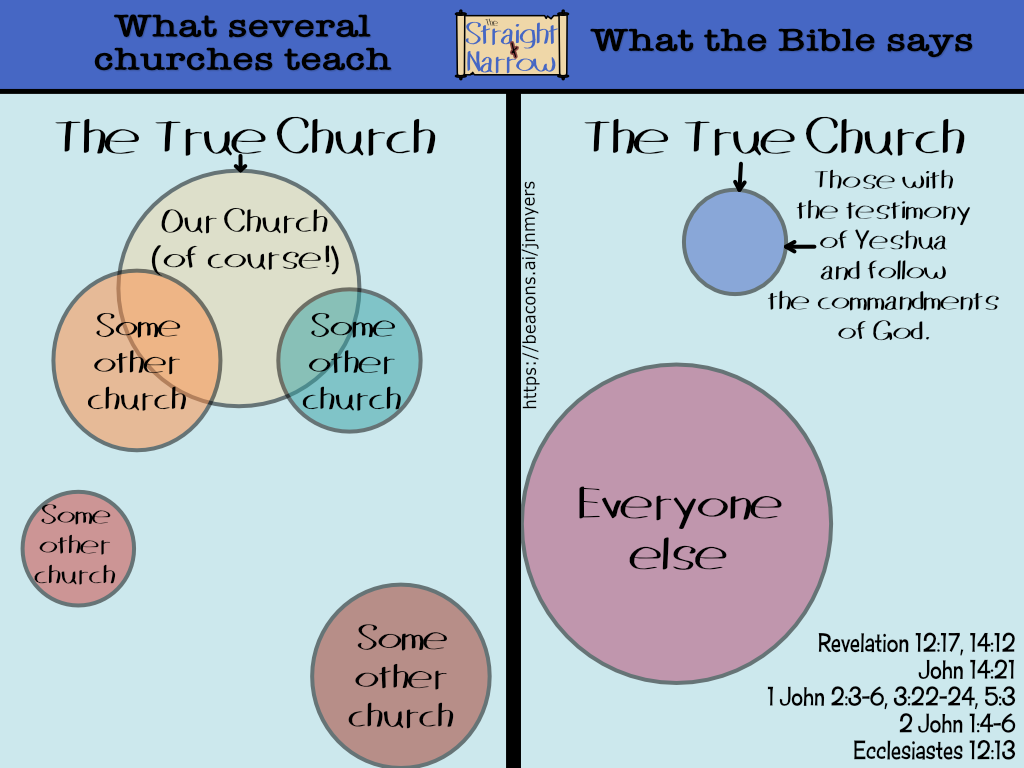 The Straight + Narrow - Church vs. Bible #080 - True Church Diagram