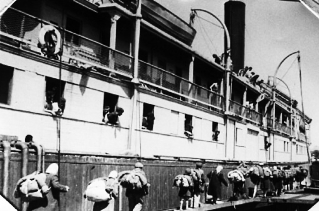 Time to Get in the Boat - The Barking Fox