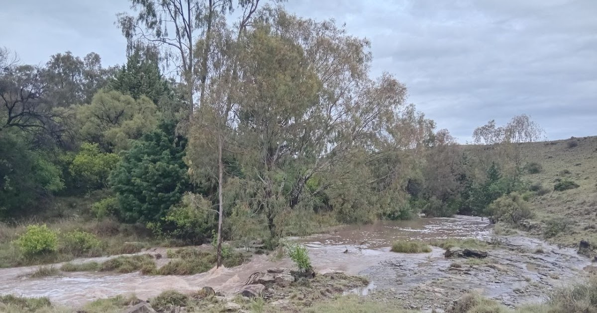 Newsletter - Building His House - November 2025