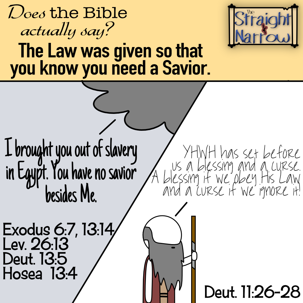 The Straight + Narrow - Does the Bible actually say? The Law was given so that you know you need a Savior.