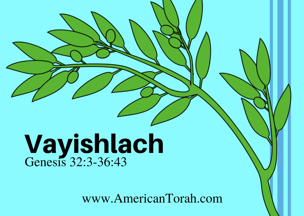 Parsha Vayishlach - Apostolic Readings, Commentary, and Videos - American Torah